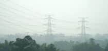 Elektrosmog Belastung Gesundheit