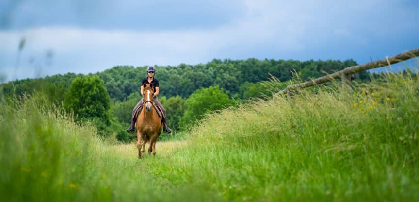 Sport, reiten, Pferd, Beweglichkeit, Gleichgewichtssinn, Koordinationsfähigkeit