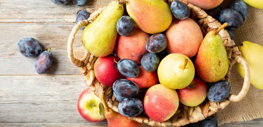 Obst, Herbst, Vitamine, Mineralstoffe und bioaktive Substanz