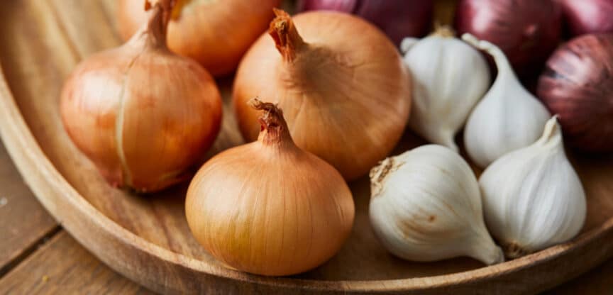 Lauchgewächse Geschmack Antioxidativ