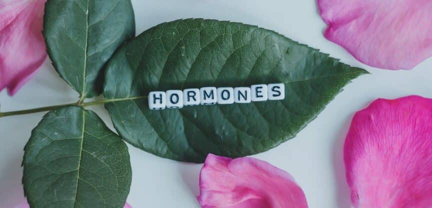Hormonsystem Adrenalin Insulin