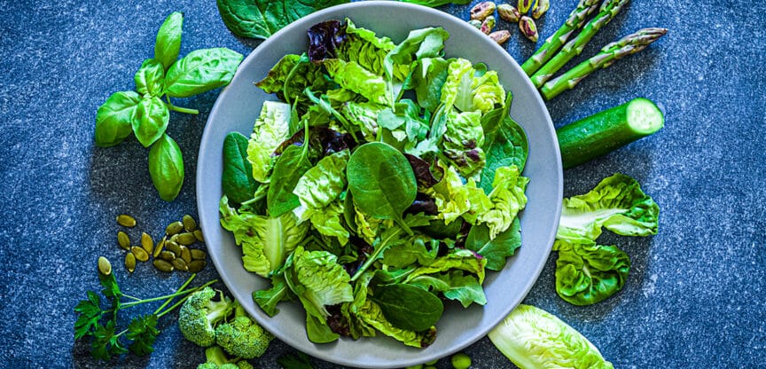 Blattsalat Sattmacher Nährstoffgehalt