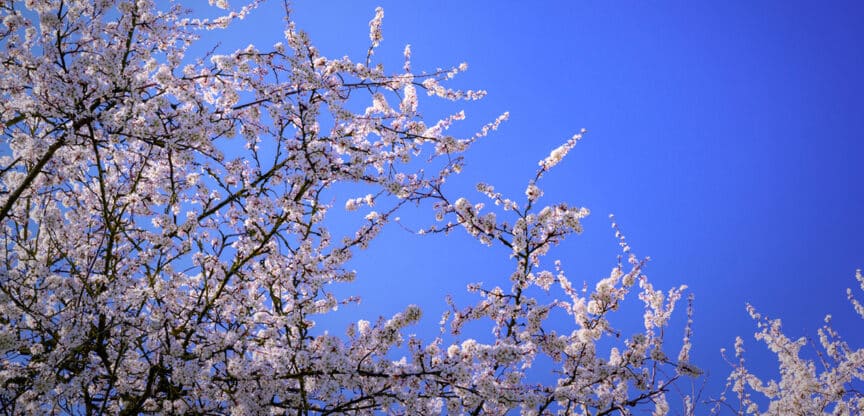 Frühjahrsmüdigkeit, Antriebslosigkeit, Hormonhaushalt