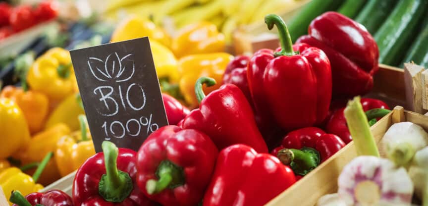 Bio Schadstoffe Entwicklung Ökologisch