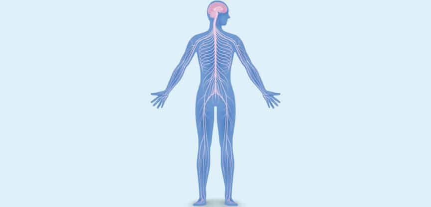 Nervenschmerz, Neuropathischer Schmerz