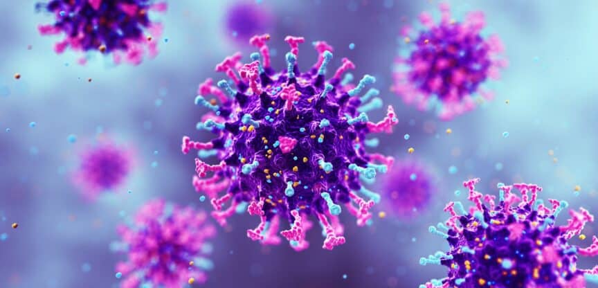 Virus neue Grippe Vogelgrippe
