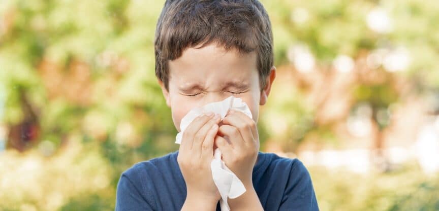 Pollen Allergie Therapie