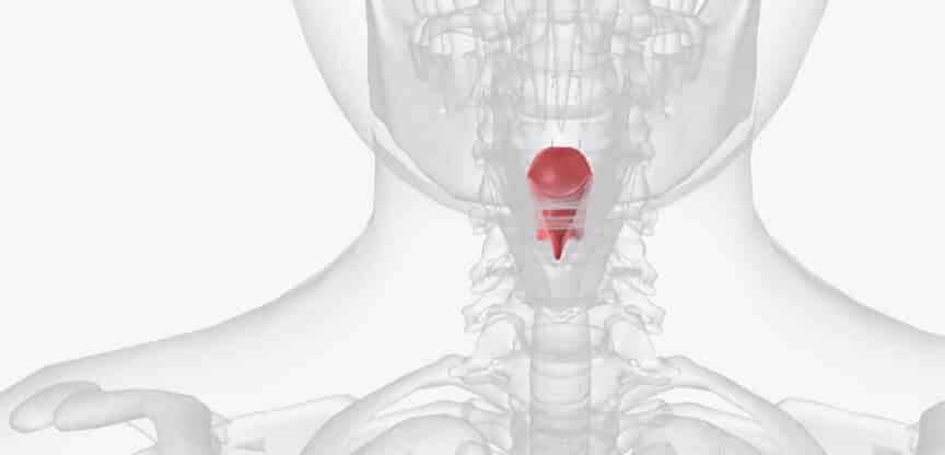 Operation, Stimmlifting, Stimmbildung, Beauty-Chirurgie, Knötchen, Polypen, Lähmungen