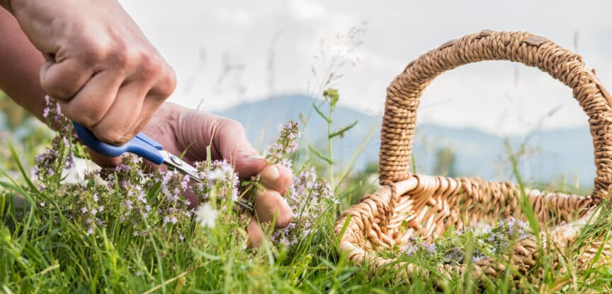 Kräftiges Haar, gesunde Haut, strahlender Teint, Richtig essen macht schön