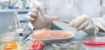 Dioxin, Listerien, Salmonellen, radioaktive Verstrahlung, Lebensmittelsicherheit