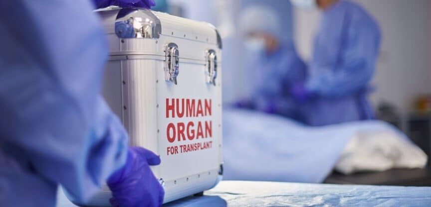 Organtransplantation Spenderorgane Organspende