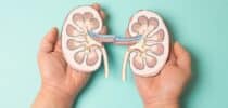 Nierenschäden Bluthochdruck Diabetes
