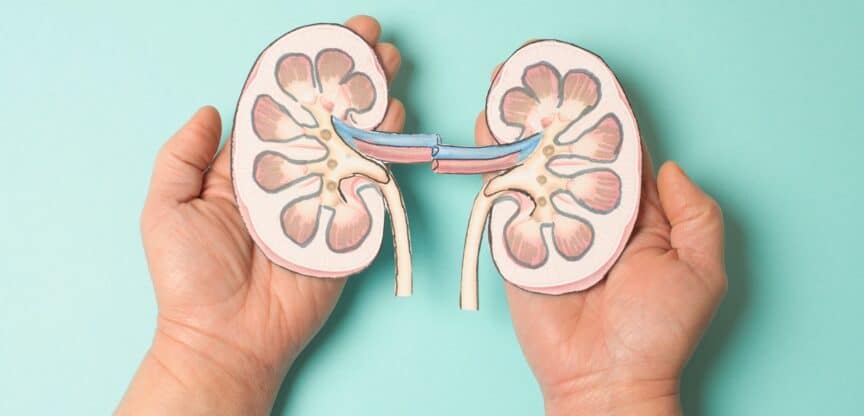 Nierenschäden Bluthochdruck Diabetes