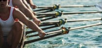 Sport, Regatta, Rudern, Muskeln, Kreislauf und Koordination