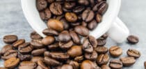 Kaffeezubereitung Konzentration Verdauung