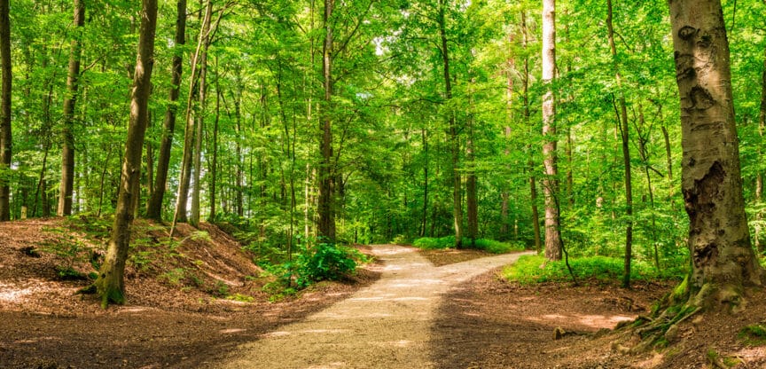 Interview, Andrea Eckert