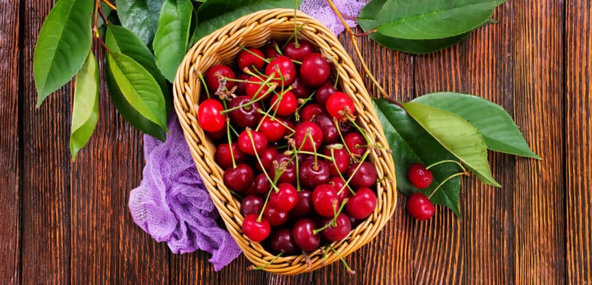 Kirschsaison Flavonoide Immunsystem