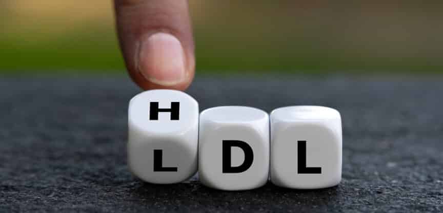 Cholesterinwerte, LDL, HDL, Gefäßverkalkung