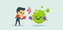 Erkältungs- und Grippeviren, Immunsystem