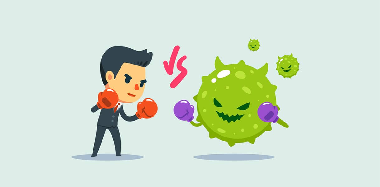 Erkältungs- und Grippeviren, Immunsystem