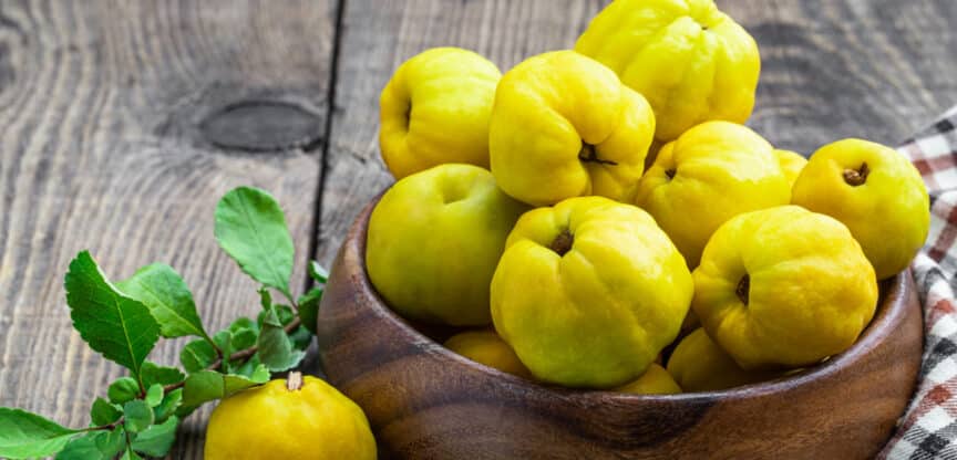 Kernobst Ballaststoffe Quittenschleim