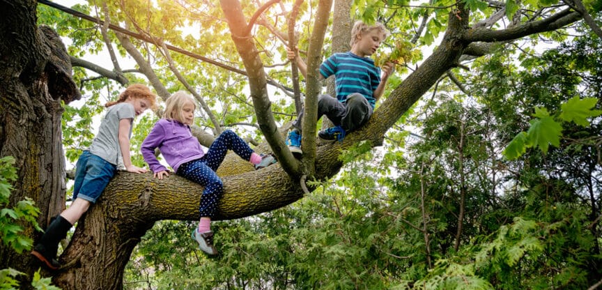 Sportarten Kinder Bewegungsdrang Gehirnleistung