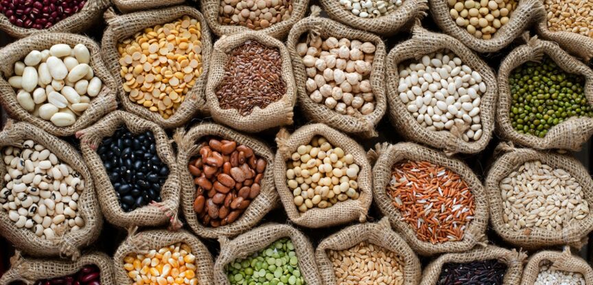 COPD, Raucherlunge, chronische Krankheit, Hülsenfrüchte