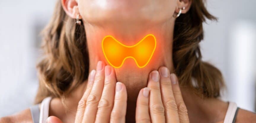 Schildddrüsenüberfunktion Schilddrüsenunterfunktion Hormone