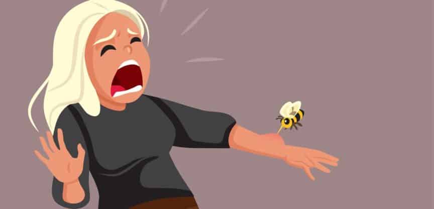 Insektengift anaphylaktischer Schock Allergie