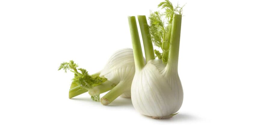 Ernaehrung, Fenchel, Beta-Carotin, Immunsystem, Mineralstoffe