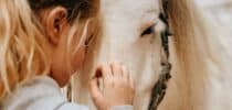 Tiere Therapie Erkrankungen