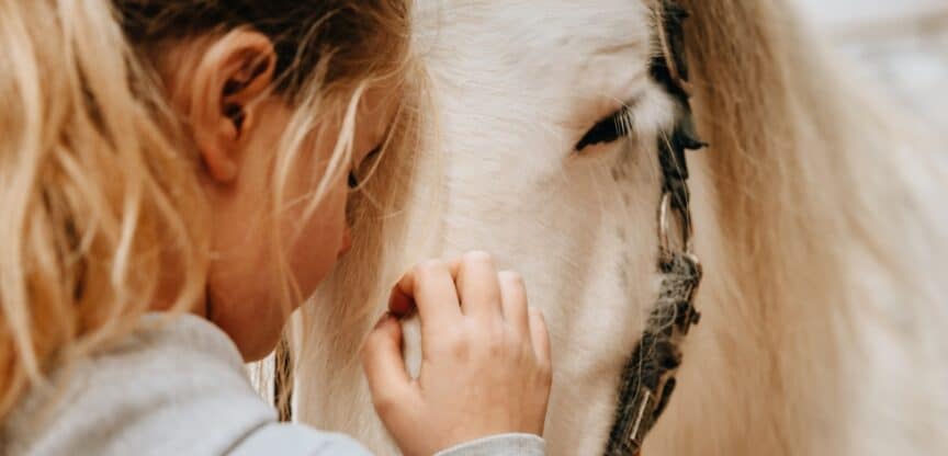 Tiere Therapie Erkrankungen