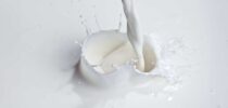 Lebensmittel, Milch, Unvertraeglichkeiten, Milchzucker, Vitamine, Kalzium