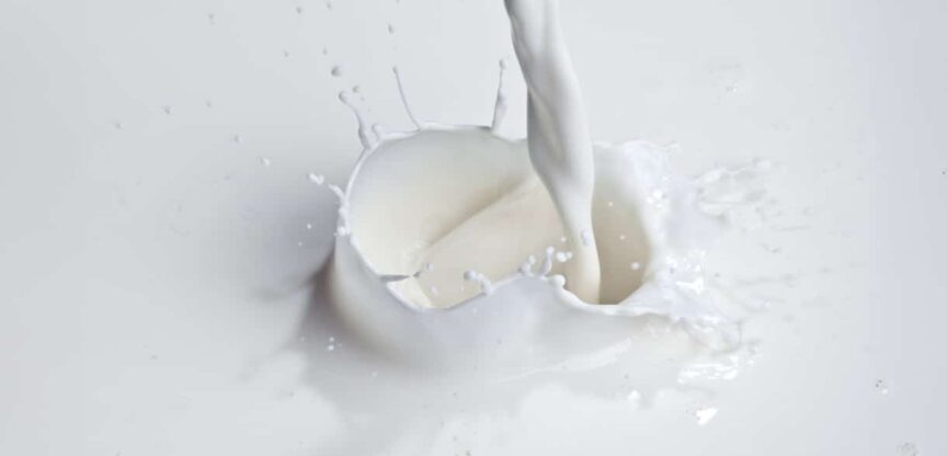 Lebensmittel, Milch, Unvertraeglichkeiten, Milchzucker, Vitamine, Kalzium