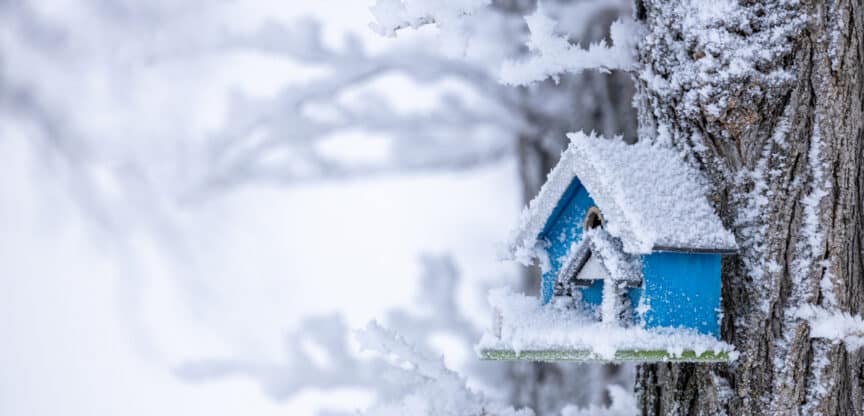 Winter, Erkältung, Grippe, Magen- und Darmerkrankungen, Venenprobleme, Herzinfarkt, Schlaganfall