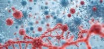 Immunsystem Viren Bakterien