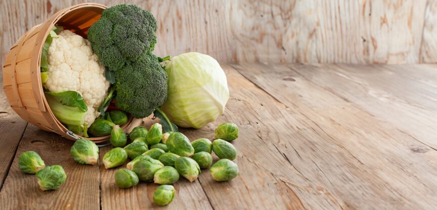 Ernaerung, Rotkraut, Wintergemuese, Cholesterin, Blutdruck, Abwehrkraefte