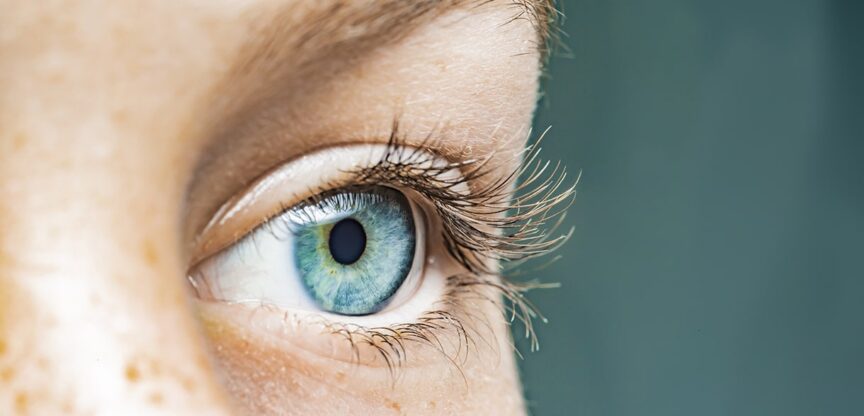 Augen, Spiegel unserer Seele, Augenhoehle, Augapfel, Sinnesreize, Netzhaut