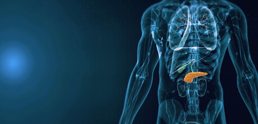 Bauchspeicheldruese, Pankreas, Verdauung, Hormone, Blutzucker