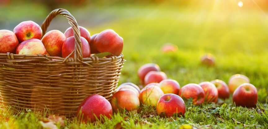 Apfel, Immunsystem, Zellgesundheit, Energielieferant, Verdauungshilfe