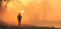 Bewegung, Ausdauertraining, Intervalltraining, Outdoor-Sport, Herz-Kreislauf-System