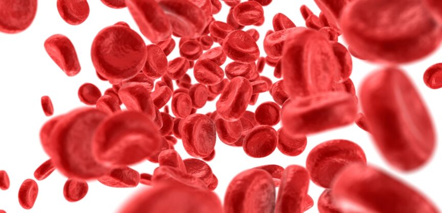 Blut, Sauerstoff, Herz, Gefaesse, Leukaemie, Blutarmut, Blutgruppen, Blut spenden, Blutbild