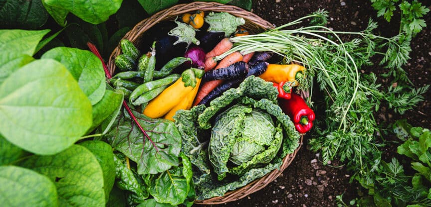 Gemüsegarten Selbstversorger Anbauarten Stressreduktion