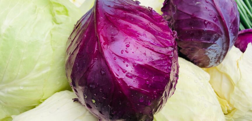 Stoffwechsel, Ernährung, Immunsystem, Winter