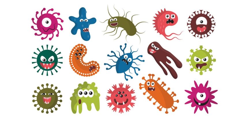 Immunsystem, Illustration Viren, Bakterien