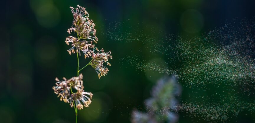 Allergie, Astma, Sport, Bewegung