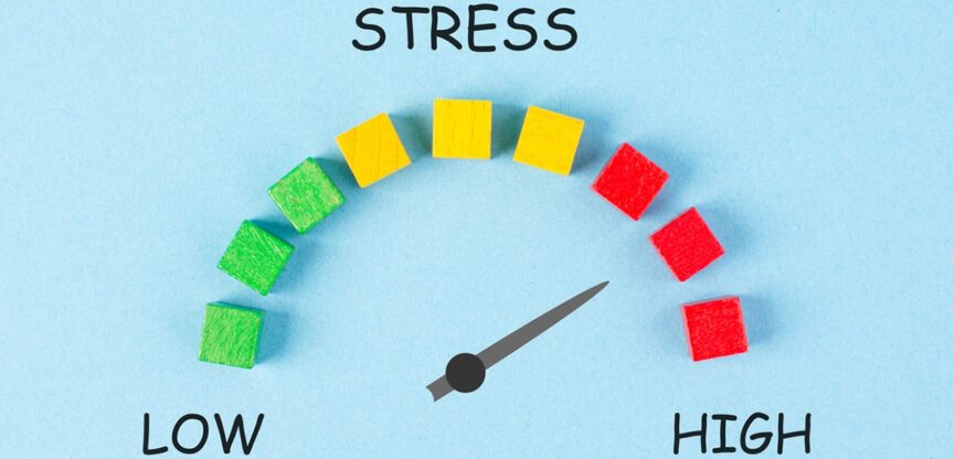 Stress, Schmerzen, Lustlosigkeit, Bluthochdruck