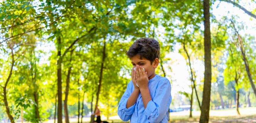 Kinder, Allergie, Pollensaison, Luftverschmutzung, Pollen, Milben, Nase, Augen, Atemwege