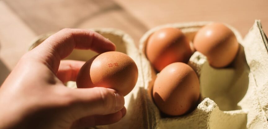 Haltbarkeit, richtig Einkaufen, Lagerung, Lebensmittelrettung