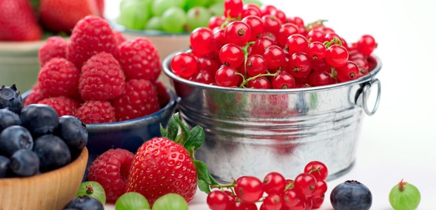 Erdbeeren, Heidelbeeren, Himbeeren, Stachelbeeren, Ribisel